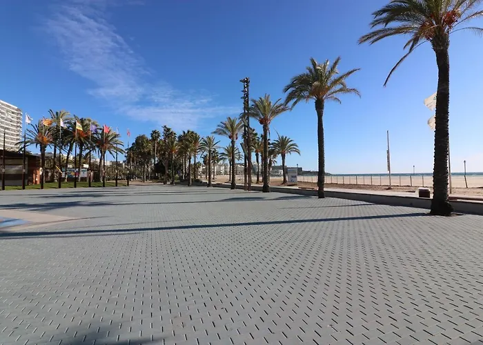 Saloutrip - Center Daire